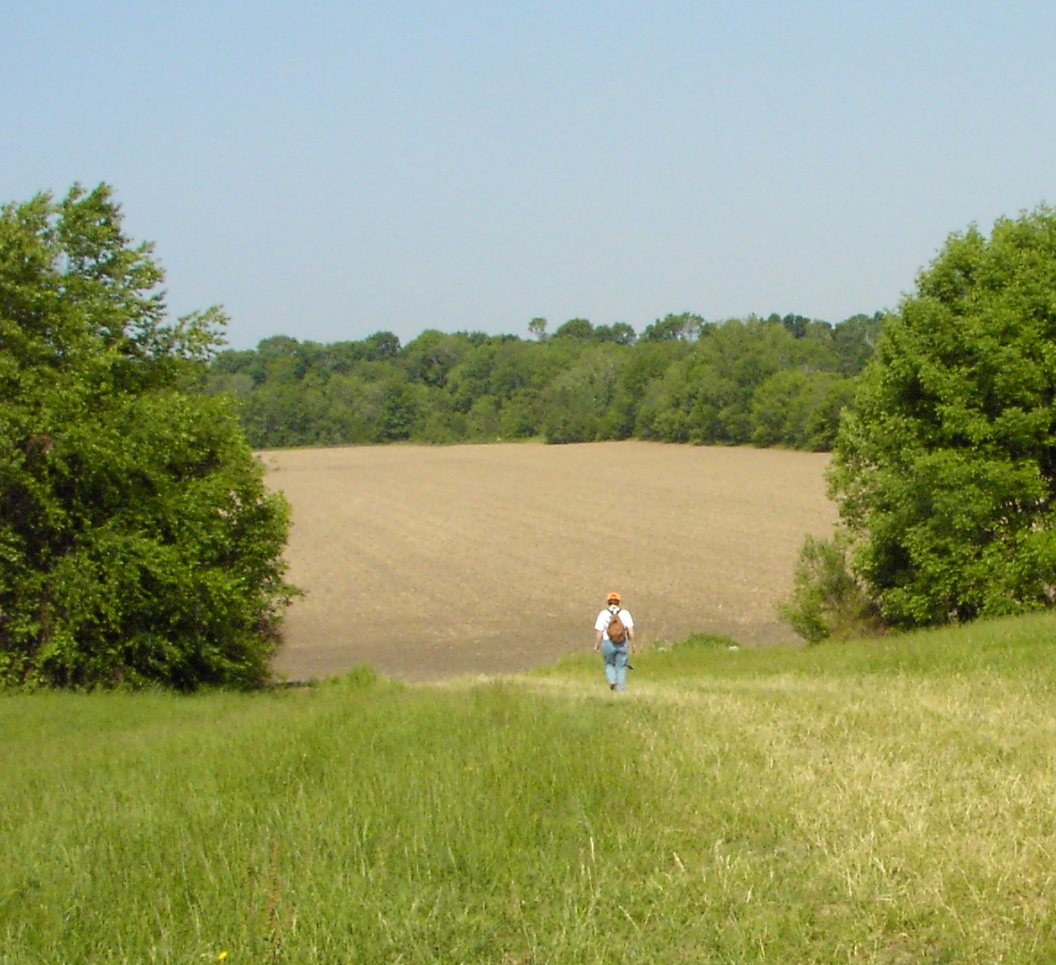 Phase I survey of 123 acres  in Clinton and Highland Counties, Ohio.