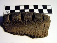 Prehistoric pottery from 33-RO-19, Ross Co., Ohio.